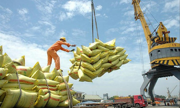 Thiếu thương hiệu: Gạo Việt đánh mất cơ hội tại thị trường EU