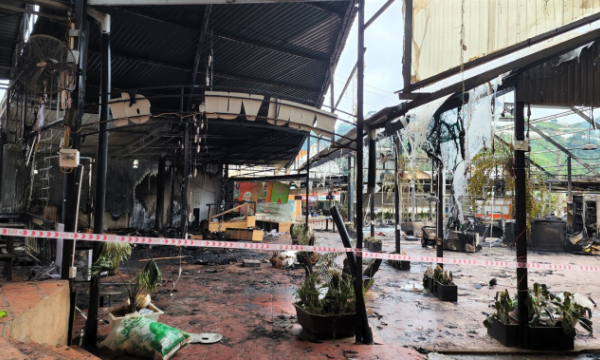 Đà Lạt: Xác định được nguyên nhân vụ cháy lớn ở Khu du lịch Nông trại Cún
