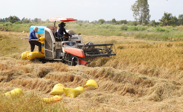 Chấn chỉnh ngay tình trạng cây xăng không bán hàng cho nông dân thu hoạch lúa