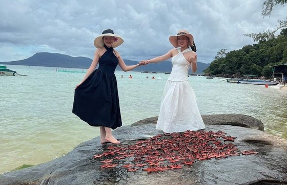  Cộng đồng mạng lên án nhóm du khách bắt sao biển phơi trên đá để chụp ảnh ở Phú Quốc