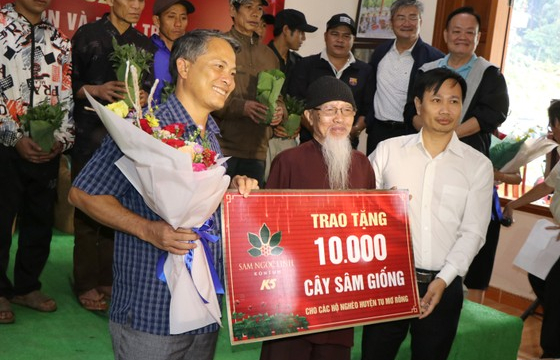 Hỗ trợ 10.000 cây sâm Ngọc Linh giống cho hộ nghèo có sâm bị chết