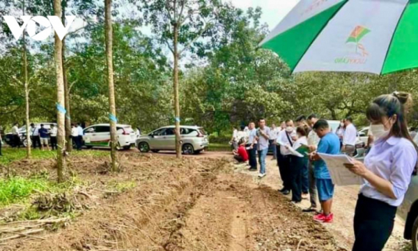 Chính quyền Bình Phước đang kiểm tra việc bán đất như bán rau