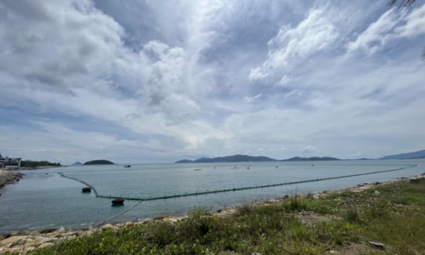 Cưỡng chế việc chiếm dụng mặt biển tại dự án Indochina Nha Trang