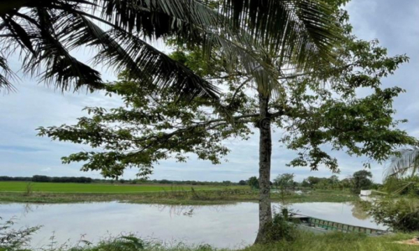 Lật xuồng 3 thanh, thiếu niên tử vong