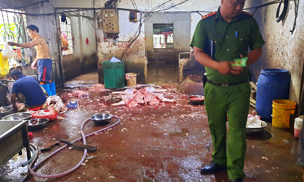 Buộc chủ 2 cơ sở tiêu hủy hơn 330kg thịt vì giết mổ heo trái phép
