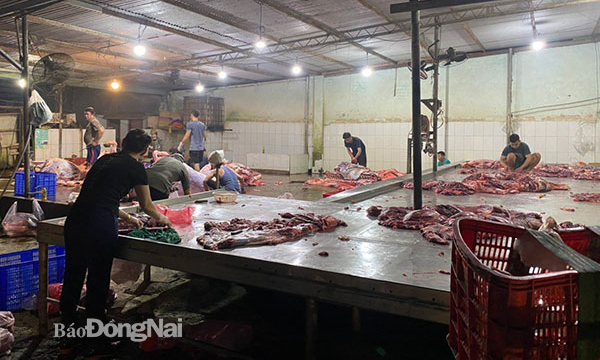 Liên tiếp phát hiện nhiều cơ sở giết mổ gia súc trái phép