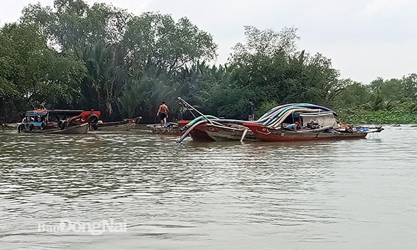 Bắt giữ 8 phương tiện khai thác cát trái phép trên sông Đồng Nai