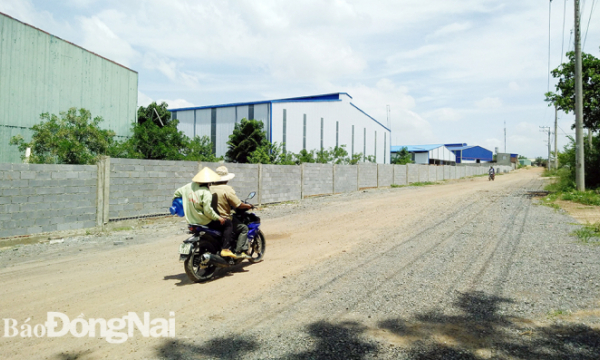 Xác định có hay không dấu hiệu tội phạm tại Cụm công nghiệp Phước Tân