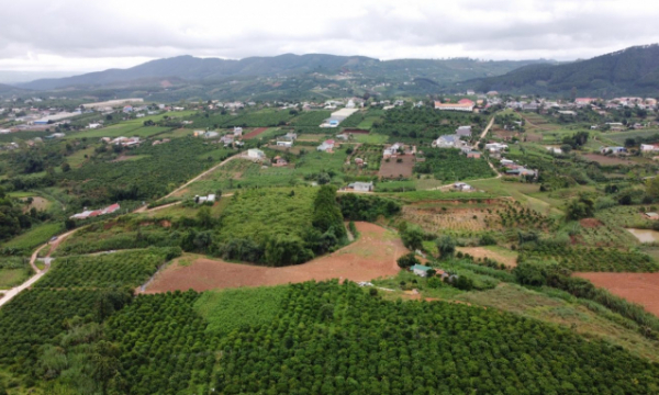 Kiểm tra các dự án nghỉ dưỡng, phân lô bán nền trên toàn tỉnh Lâm Đồng