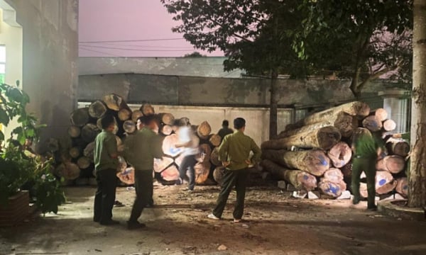 Đồng Nai: Khởi tố vụ án hình sự đầu tiên về nạn phá rừng phòng hộ Xuân Lộc