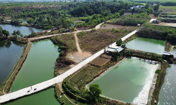 Đồng Nai: Yêu cầu huyện Trảng Bom kiểm điểm xảy ra sai phạm đất đai