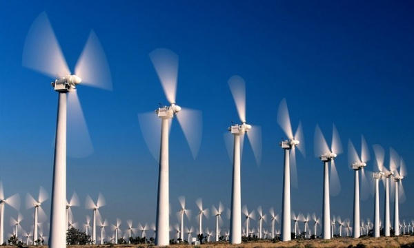 Vì sao chủ đầu tư điện gió Cầu Đất bị phạt 1,4 tỷ?