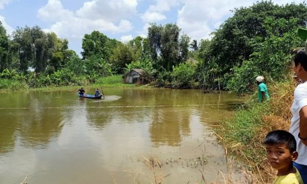 Vây bắt cá sấu nặng hàng chục kg ở ao nước nhà dân tại Bạc Liêu
