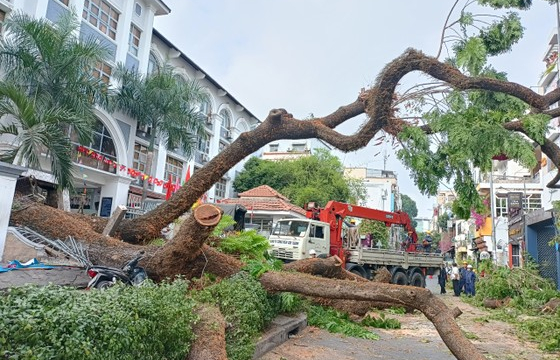 Trường THCS Trần Văn Ơn hỗ trợ các nạn nhân vụ cây đổ hơn 16 triệu đồng