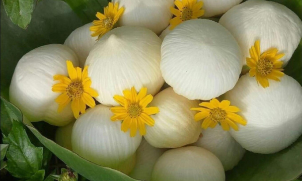 Đặc sản miền Tây giá 200 ngàn/kg tràn ra Hà Nội