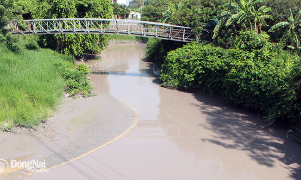 Báo cáo kết quả xác minh ô nhiễm nước sông Buông