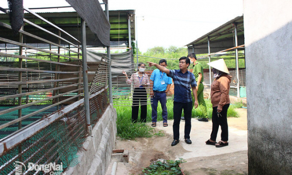 Huyện Thống Nhất: Xử lý 2 trang trại chăn nuôi gây ô nhiễm môi trường