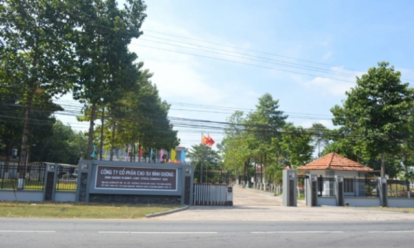 Công ty Cổ phần Cao su Bình Dương chưa thực hiện nghiêm quy định về an toàn, vệ sinh lao động