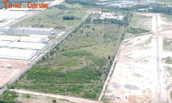 Đồng Nai: VMEP để hoang hơn 70% diện tích đất tại KCN Hố Nai?
