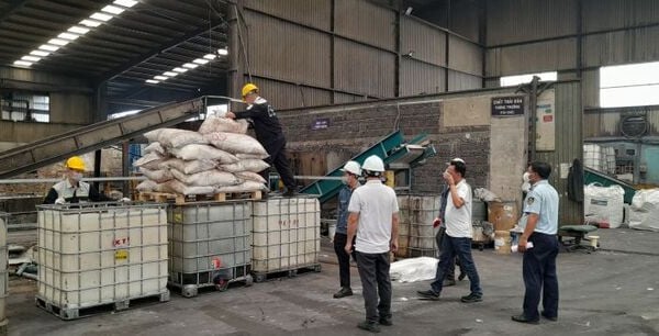 TP. Hồ Chí Minh: Tiêu hủy 52 tấn đường tinh luyện không đảm bảo an toàn sử dụng