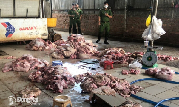 Phát hiện cơ sở sơ chế khoảng 1,2 tấn thịt heo đã bốc mùi hôi thối