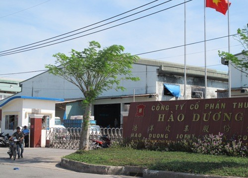 'Sức khỏe' Công ty Hào Dương vừa bị TP HCM yêu cầu thu hồi dự án