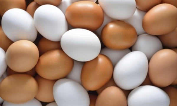 Trứng gà chọn quả to hay nhỏ, nâu hay trắng sẽ bổ hơn?
