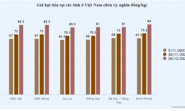 Giá ‘vàng đen’ tiếp đà tăng mạnh, Việt Nam xuất khẩu 255.700 tấn