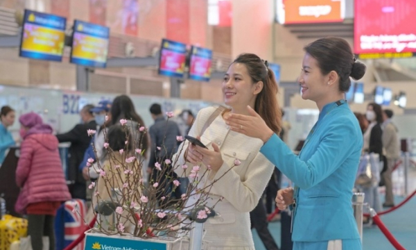 Vietnam Airlines nhận chở cành đào, mai dịp Tết Giáp Thìn