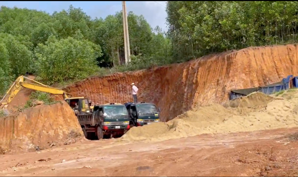 Bình Định: Buông lỏng quản lý, nhiều diện tích đất bị đào bới mang đi bán