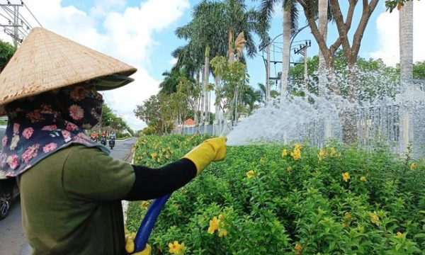 BR-VT: Minh Phúc Lộc trúng gói thầu xây dựng hoa xuân đón Tết hơn 7,2 tỷ