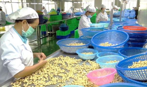 Đối tác Tây Ban Nha nợ tiền hàng: Thương vụ Việt Nam cảnh báo doanh nghiệp