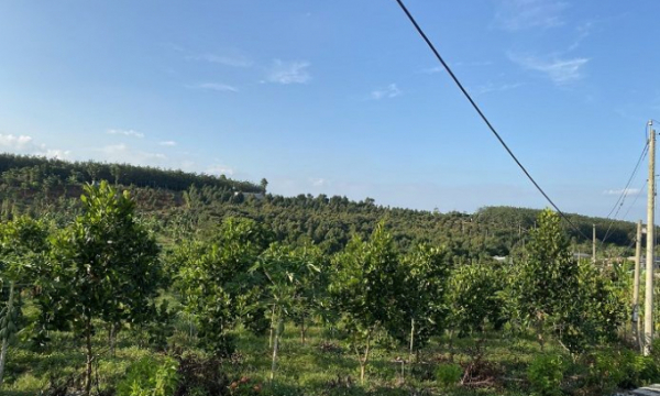 Đồng Nai lập khu tái định cư 18,5ha cho người dân bị giải tỏa vì cao tốc Phan Thiết - Dầu Giây