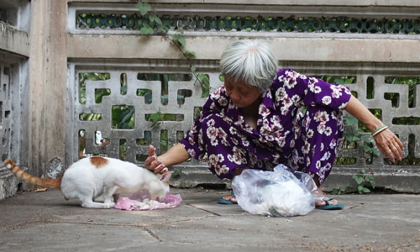 Những người nuôi chim trời, mèo hoang ở Sài Gòn