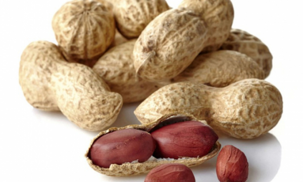Những thực phẩm phổ biến có thể gây độc cho cơ thể