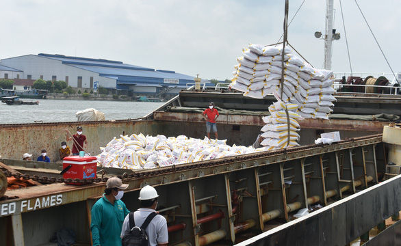 'Xù' bán gạo vẫn được đấu thầu mua gạo dự trữ?
