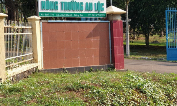 Đồng Nai: Đất cao su đang bị xẻ thịt - ai là người hưởng lợi?