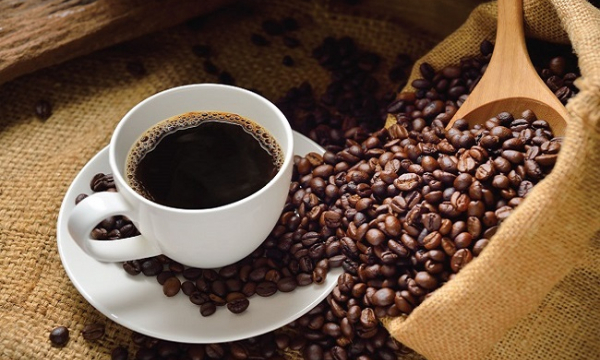 Lý do cà phê nguyên chất là nhà cung cấp cà phê giá sỉ uy tín tại TP.HCM