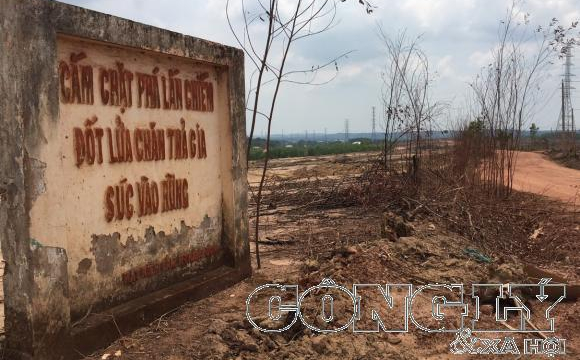 Đồng Nai: Đất rừng đang tranh chấp vẫn chuyển thành dự án khu dân cư