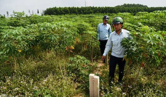 Xử lý nghiêm tình trạng phân lô bán nền trái phép ở Đồng Nai