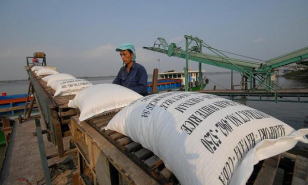 Việt Nam trúng thầu xuất 30 nghìn tấn gạo trắng cho Philippines