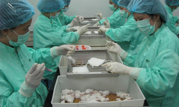 Vắc-xin Covid-19 'Made in Việt Nam' thử nghiệm thành công trên chuột