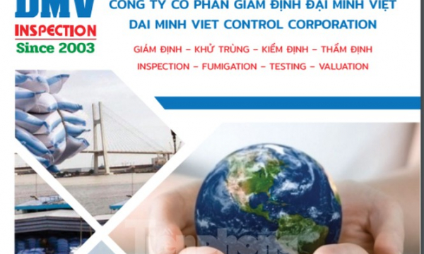 Vụ 33 doanh nghiệp dùng giấy phép giả xuất khẩu: Cty Đại Minh Việt có được tiếp tay?