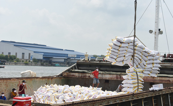 80.000 tấn gạo miễn thuế sẽ được xuất khẩu vào EU mỗi năm
