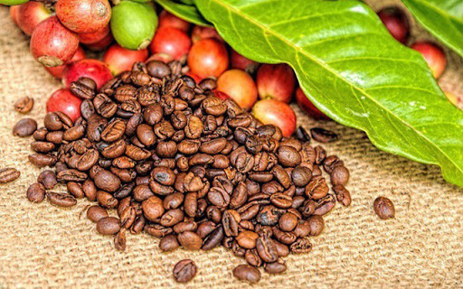 Giá cà phê hôm nay 18/7: Cà phê miền Nam, Tây Nguyên tăng sốc vượt mức 33.000 đồng/kg