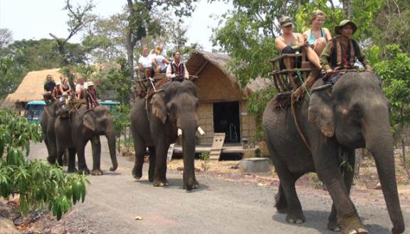Đắk Lắk: Dừng hoạt động cưỡi voi sau sự cố làm 2 du khách ngã và bị thương