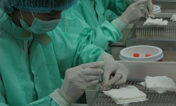 Việt Nam sẽ rút ngắn thời gian thẩm định, thử nghiệm vắc xin COVID-19