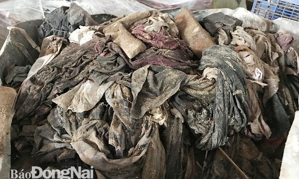 Công ty TNHH Shing Mark Vina đổ và chôn lấp hơn 13 tấn chất thải công nghiệp ra môi trường