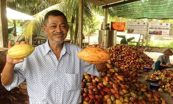Ông lão Việt Kiều nuôi giấc mơ socola 'Made in Vietnam'