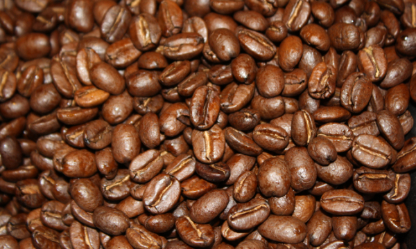 Cà phê Moka Cầu Đất - Đắng nhẹ dịu xen lẫn chua thanh tao